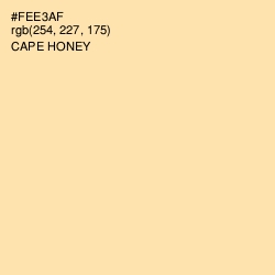#FEE3AF - Cape Honey Color Image